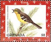Adelaide's Warbler (Dendroica adelaidae)