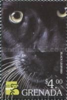 Black leopard