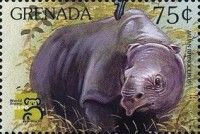 Javan rhinoceros