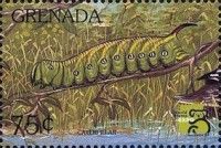 Caterpillar