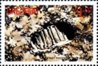 First Footprint on the Moon