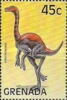 Struthiominus