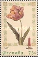 Tulip