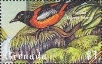Troupial (Icterus icterus)