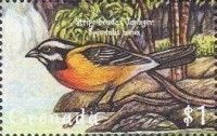 Stripe-headed Tanager (Spindalis zena)