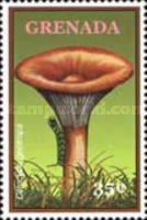Clitocybe geotropa