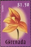 Lycaste