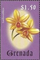 Laeliocattleya