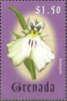 Ionopsis