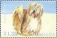 Tibetan Terrier
