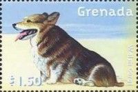 Welsh Corgi