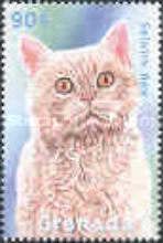 Selkirk Rex