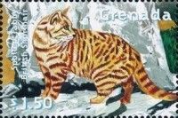 Spotted tabby British Shorthair