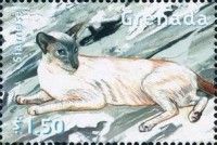 Siamese