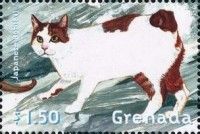 Japanese Bobtail