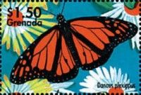 Danaus plexippus