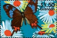 Parides gundlachianus