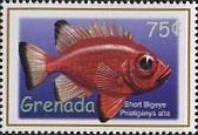 Short bigeye (Pristigenys alta)