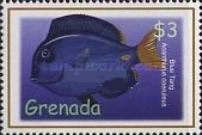 Blue tang (Acanthurus coeruleus)