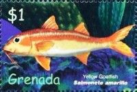 Yellow goatfish (Salmonete amarillo)