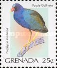 Purple Gallinule (Porphyrio martinica)