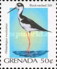 Black-necked Stilt (Himantopus mexicanus)