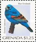 Blue Grosbeak (Guiraca caerulea)