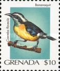 Bananaquit (Coereba flaveola)
