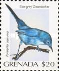 Blue-grey Gnatcatcher (Polioptila caerulea)