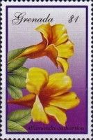 Allamanda catharticia