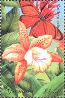 Cattleya velutina