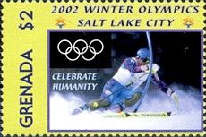 Skier
