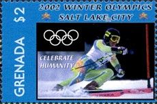 Skier