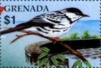 Blackpoll Warbler (Setophaga striata)