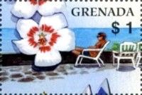 Flower, vacationer on chair.