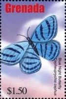 Blue night