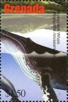 Humpback
