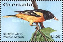 Northern Oriole (Icterus galbula)