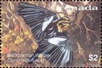 Blackburnian Warbler (Dendroica fusca)