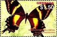 Machaonides's swallowtail