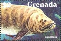 Xiphactinus