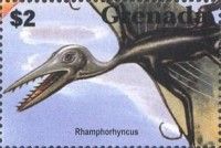 Rhamphorynchus