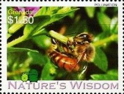 Pollination