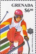 Downhill skier