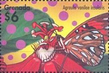 Gulf Fritillary (Agraulis vanilae ssp. insularis)