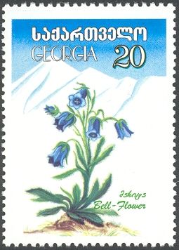 Bell Flower