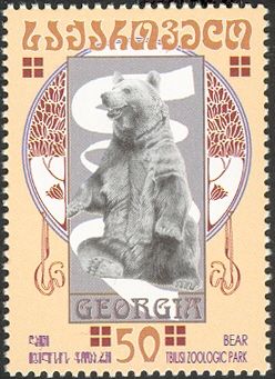 Brown Bear (Ursus arctos)