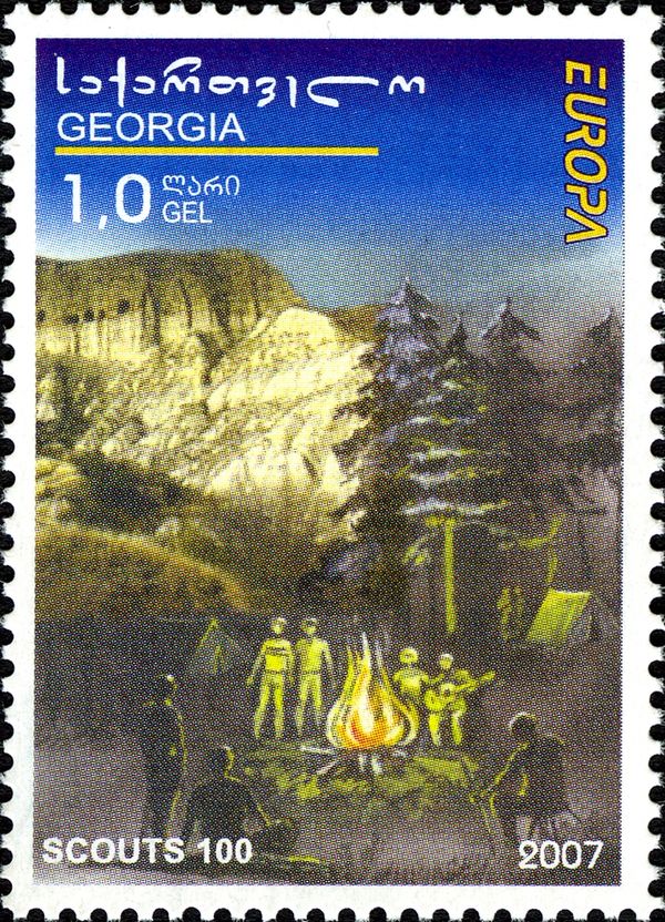 Scouts Camping in Forest