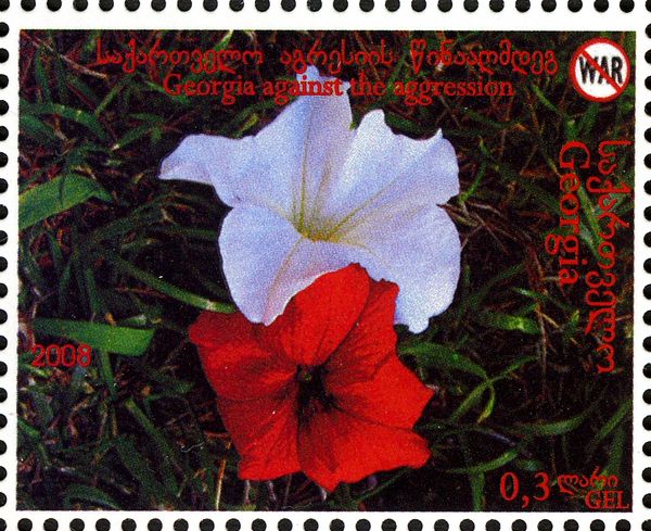 Red and White Flowers
