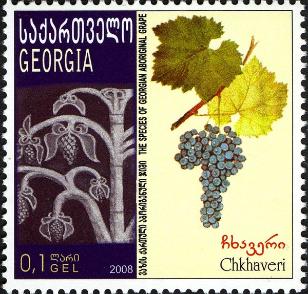Chkhaveri Grapes